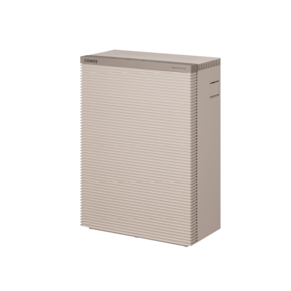 สแควร์ฟิต 11